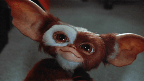 Employee, Independent Contractor or Gremlin | Ohio CPA Firm